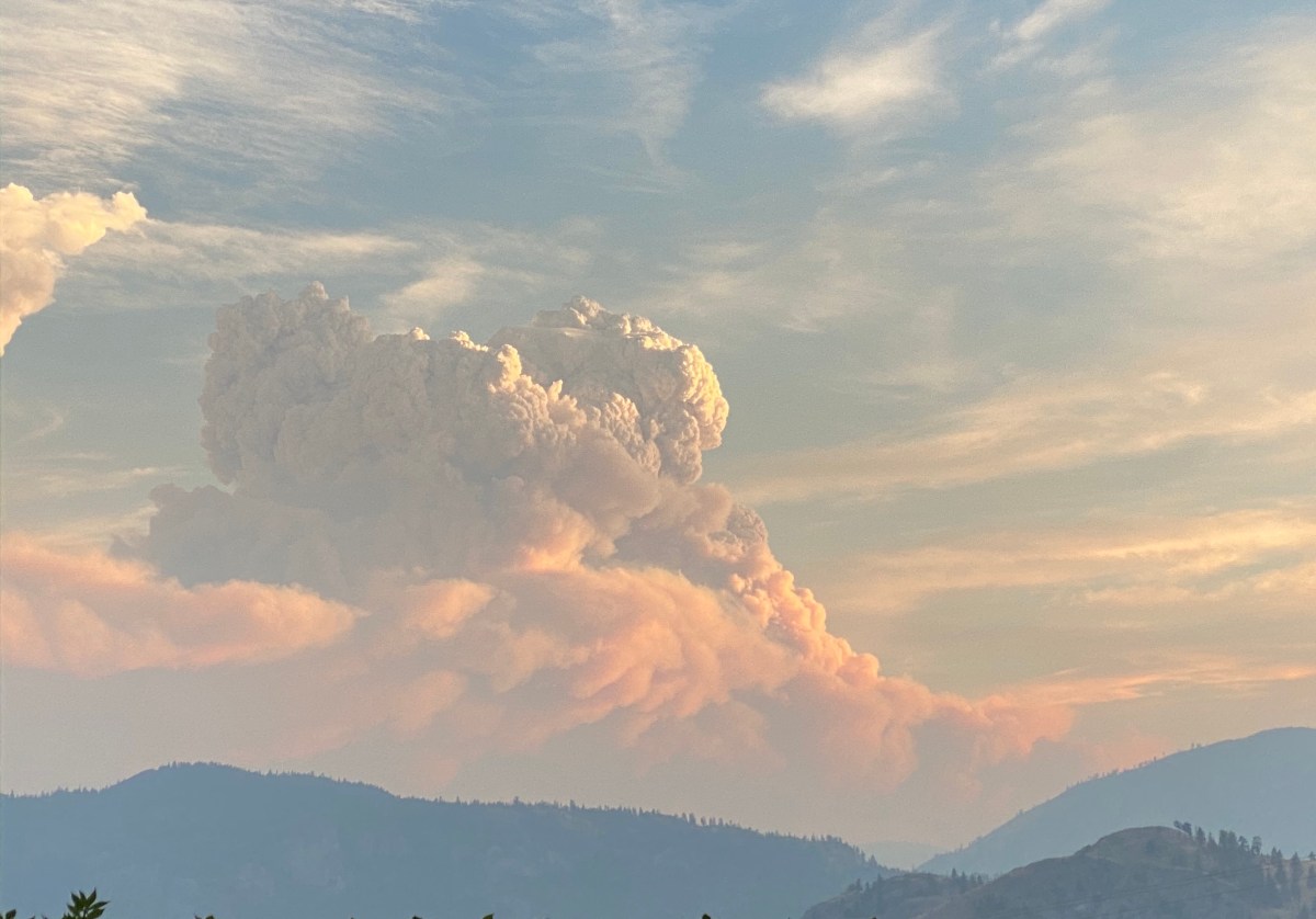 Wildfires and Gratitude