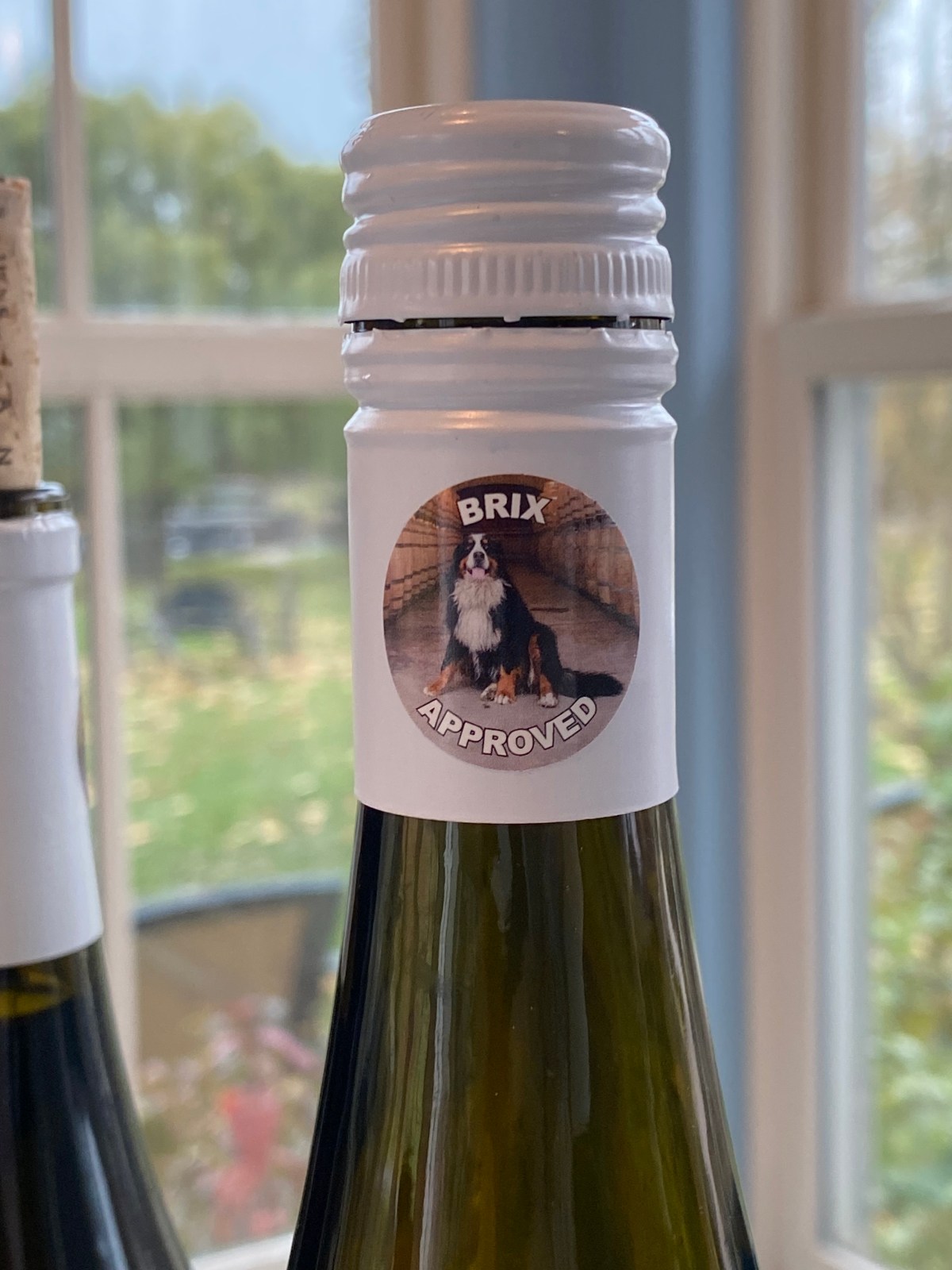 Chilling with Sue-Ann Staff, Part&nbsp;2